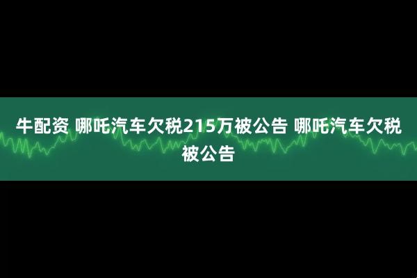 牛配资 哪吒汽车欠税215万被公告 哪吒汽车欠税被公告